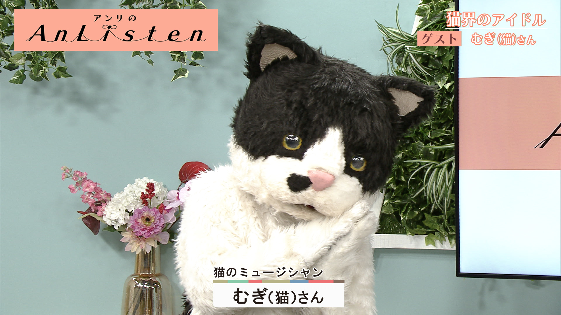 Listen54 むぎ(猫)さん | CATCHY