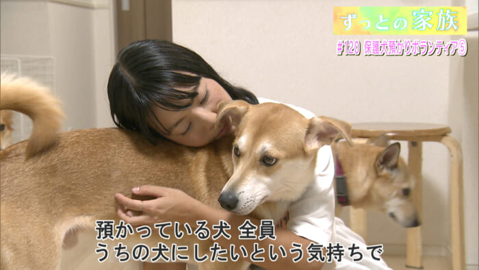 ずっとの家族「保護犬預かりボランティア (5) 」