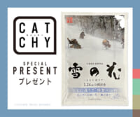 CATCHY「特製入浴料」視聴者プレゼント