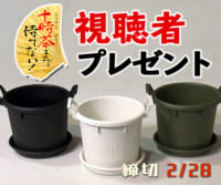 十時茶まで待てない！「プラスチック鉢3種類」プレゼント