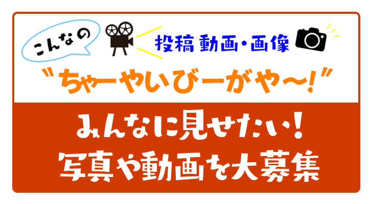 十時茶まで待てない