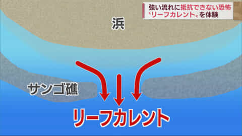 海岸に戻れない強い流れの怖さ ”リーフカレント”を記者が体験