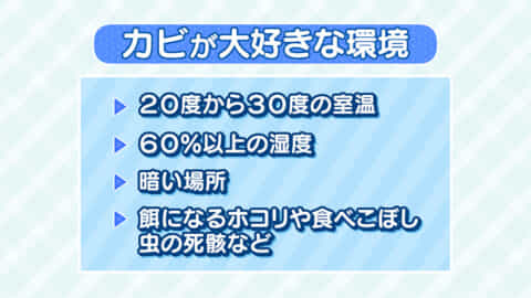 専門家に聞く「本気の湿気対策」