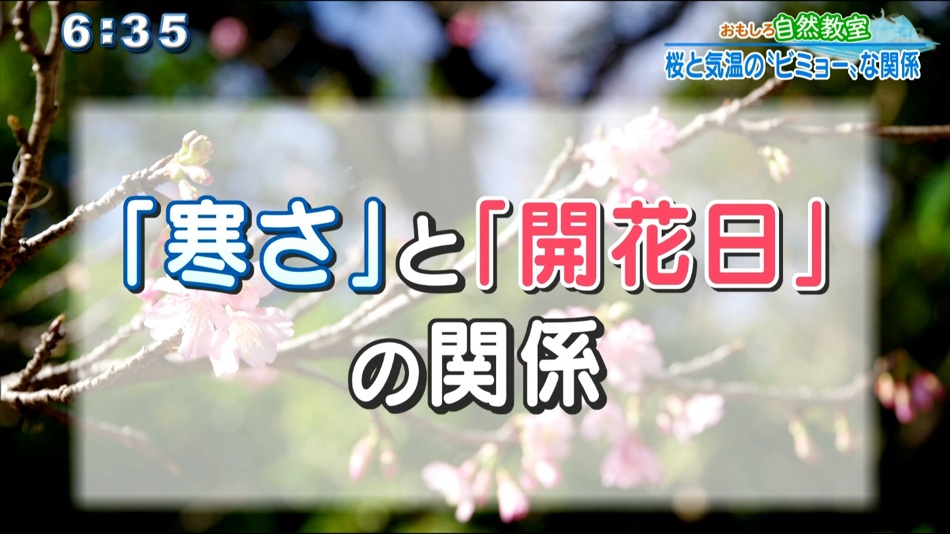 気象予報士テルさんのおもしろ自然教室 6 桜と気温の ビミョー な関係 Qab News Headline