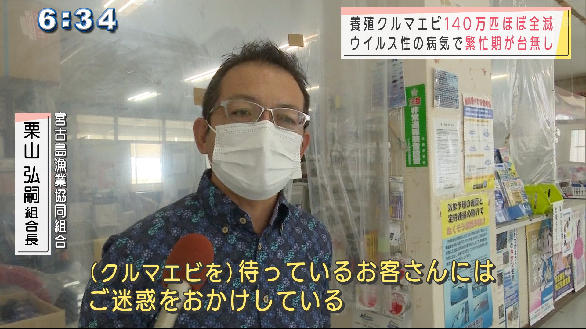 宮古島で養殖クルマエビ１４０万匹がほぼ全滅 Qab News Headline