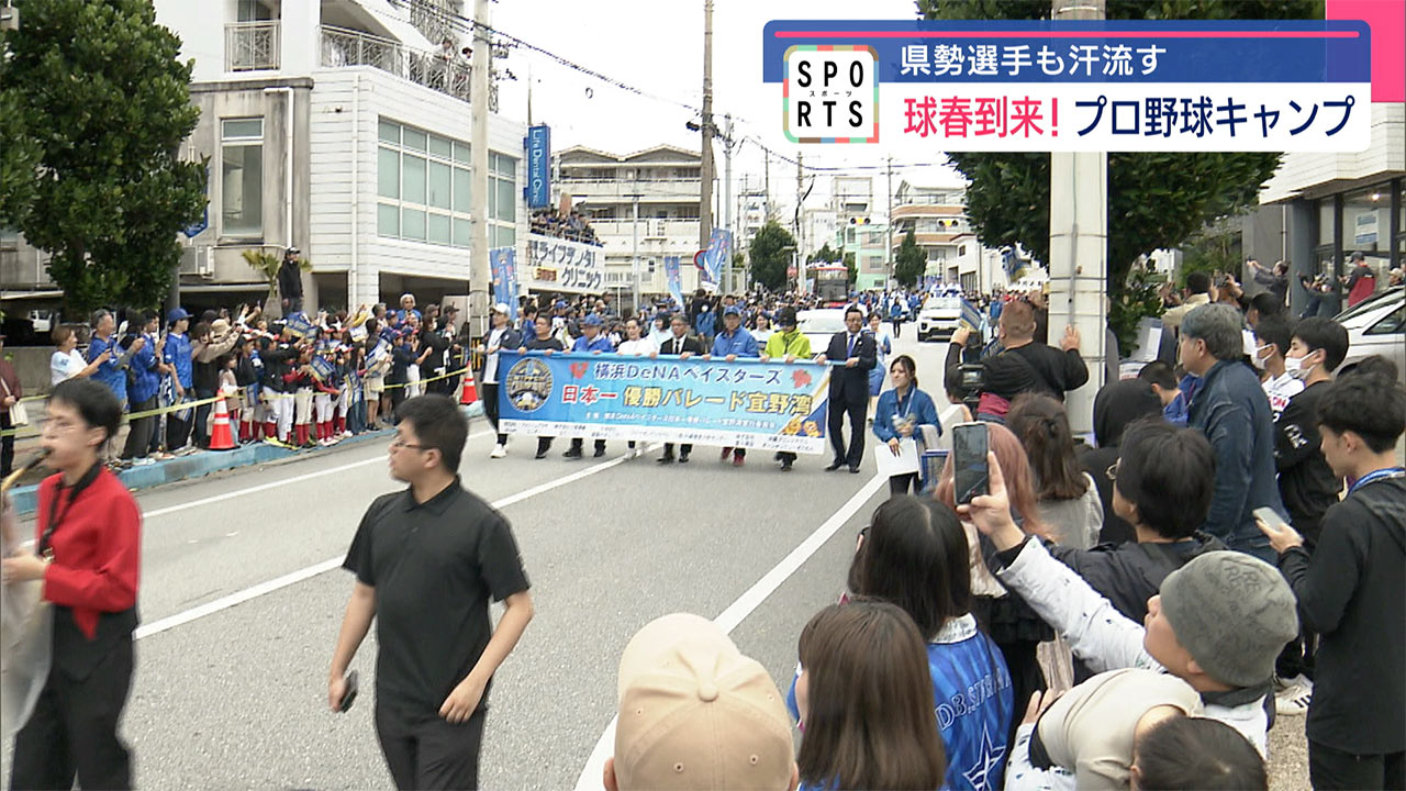 プロ野球春季キャンプ2025スタート！　県内7球団が始動！