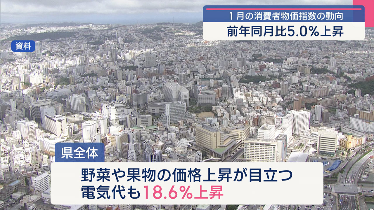 那覇市・沖縄県１月の消費者物価指数 / ビジネスキャッチー