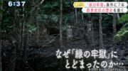 映画「緑の牢獄」西表炭坑の記憶を探る