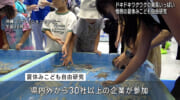 8月3日から夏休みこども自由研究