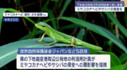 宮古諸島の稀少な野生動物の保全を 下地島空港の利活用計画巡り県に要請