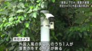 浦添城跡にスプレーのようなもので落書き　県警が捜査