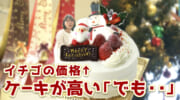 クリスマスケーキ　今年も値上がりしています